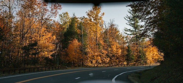 Someone driving a car during the fall